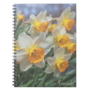 Caderno Espiral Daffodilos de Cheery (desbotados)