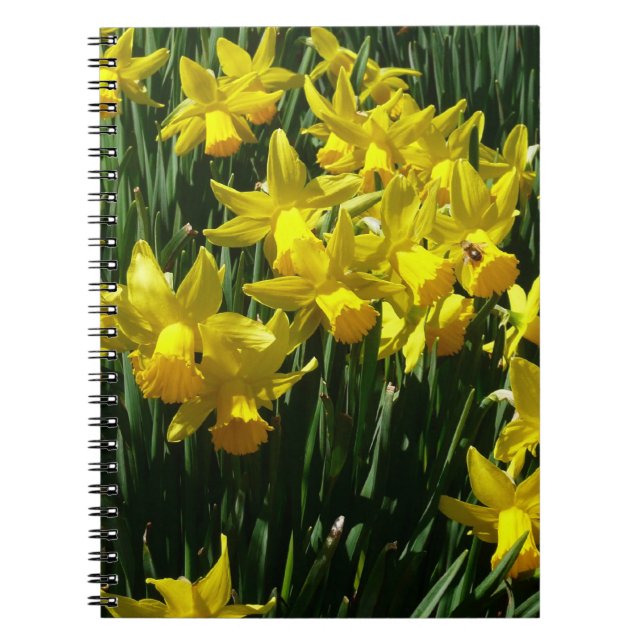 Caderno Espiral Daffodils Amarelos I Flores De Mola Cheery (Frente)