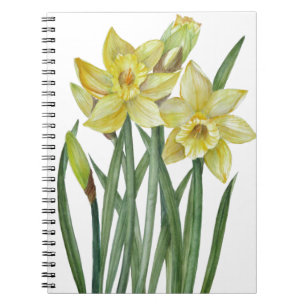 Caderno Espiral Daffodils De Aquarela Ilustração De Retrato De F