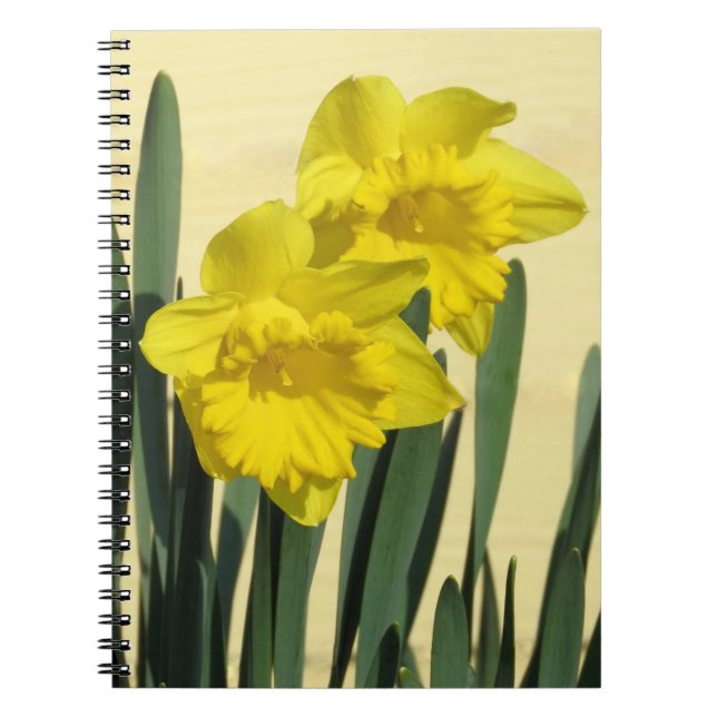 Caderno Espiral Daffodils - notebook (Frente)