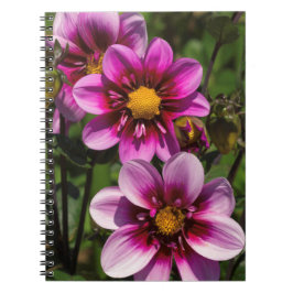Caderno Espiral Dahlia Trio