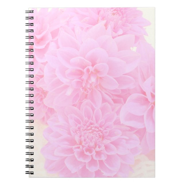 Caderno Espiral Dahlias Em Rosa Suave (Frente)