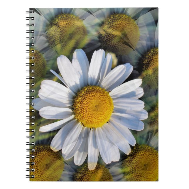 CADERNO ESPIRAL DAISES (Frente)