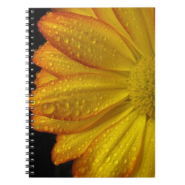 Caderno Espiral Daisy (Frente)