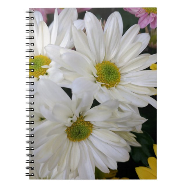 Caderno Espiral Daisy (Frente)