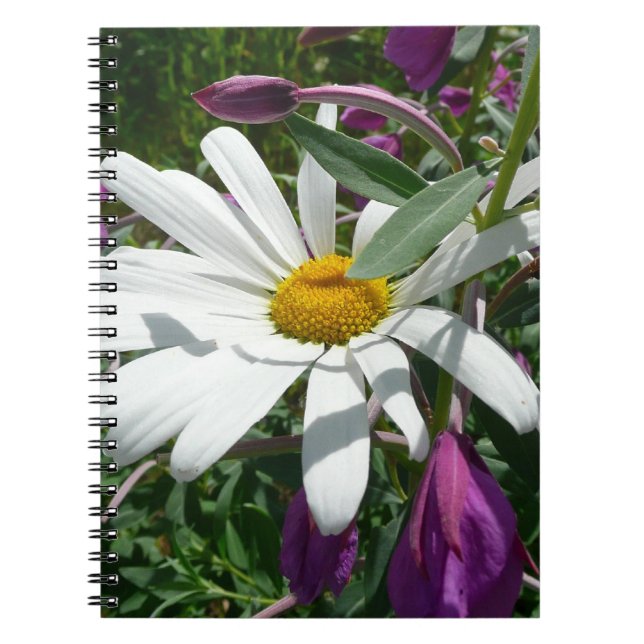Caderno Espiral Daisy e Fireweed (Frente)