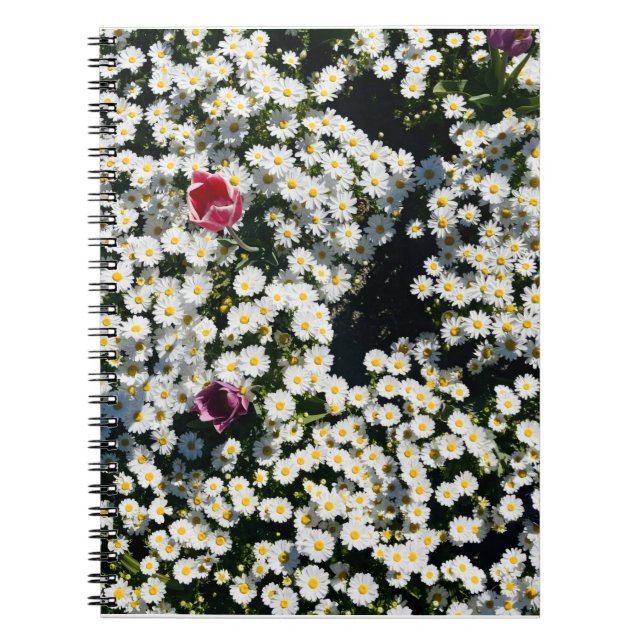 Caderno Espiral Daisy Field Spiral Notebook (Frente)