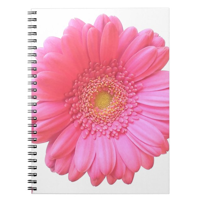Caderno Espiral Daisy gerbera rosa (Frente)