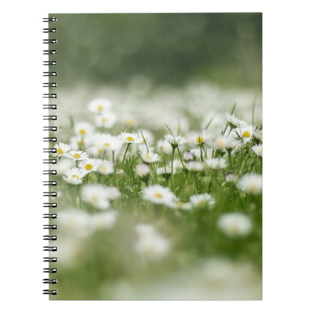 Caderno Espiral Daisy Meadow (Frente)