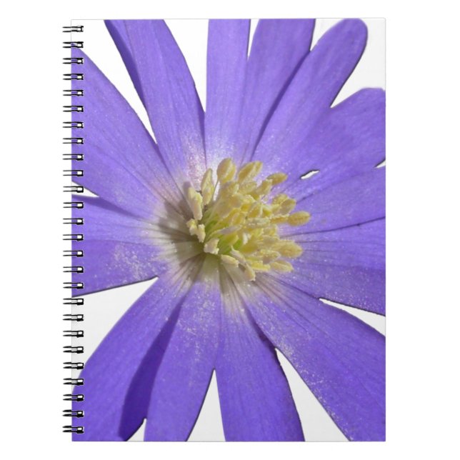 Caderno Espiral Daisy Notebook Blue Daisy Diários Flores Presentes (Frente)