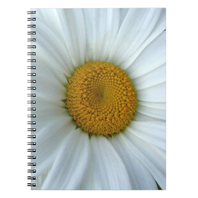 Caderno Espiral Daisy Notebook Classic Daisy Diários Flores Difs (Frente)