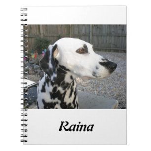 Caderno Espiral Dalmatian - o Reina de Cindy