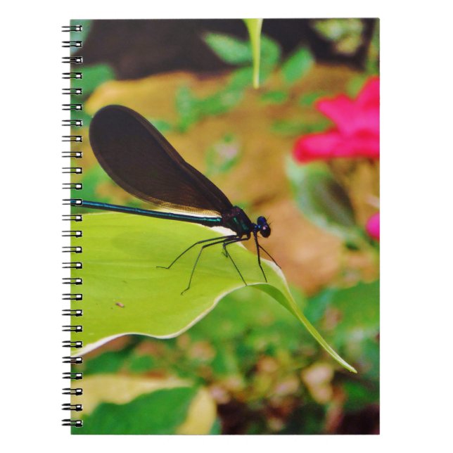 Caderno Espiral Damselfly e Rosa (Frente)
