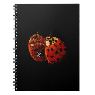 Caderno Espiral Damybugs Face A Face