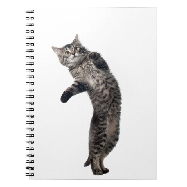 Caderno Espiral Dança do Asio (Frente)