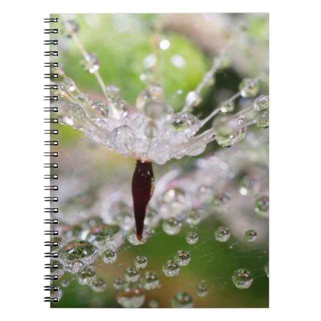Caderno Espiral Dândalo Delicado Abstrato (Frente)