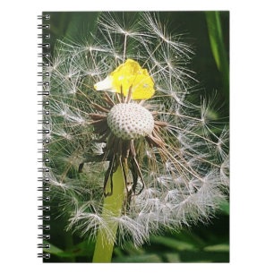Caderno Espiral Dandelion