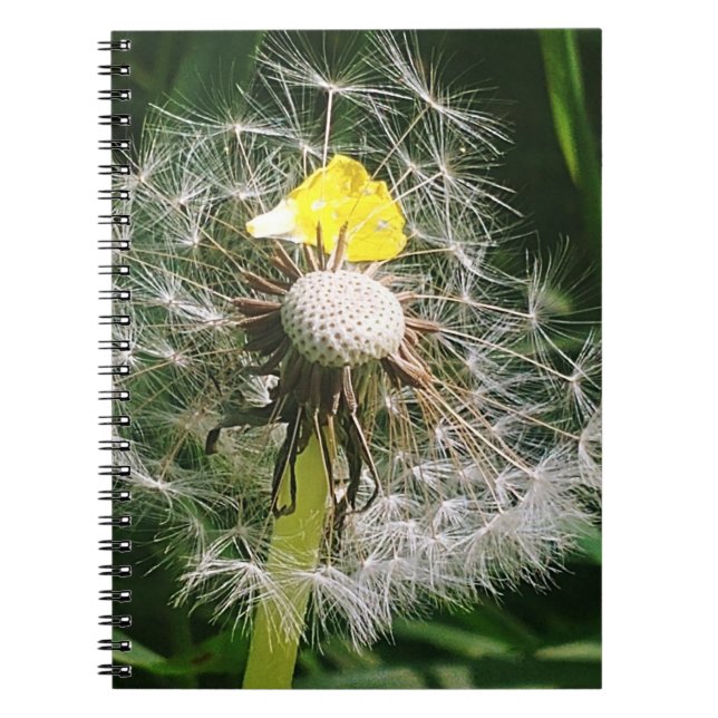 Caderno Espiral Dandelion (Frente)