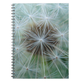 Caderno Espiral Dandelion Branco
