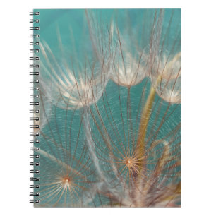 Caderno Espiral Dandelion branco em fotografia fechada
