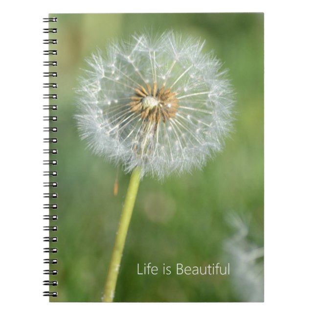 Caderno Espiral Dandelion Flower (my photography) (Frente)