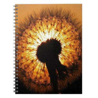 Caderno Espiral Dandelion no Sunset