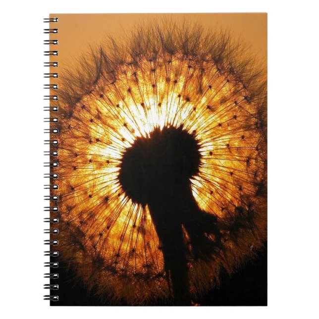 Caderno Espiral Dandelion no Sunset (Frente)