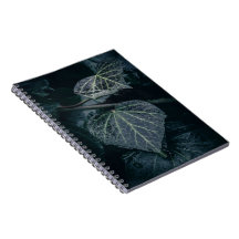 Dark Moody Ivy Nature Foto