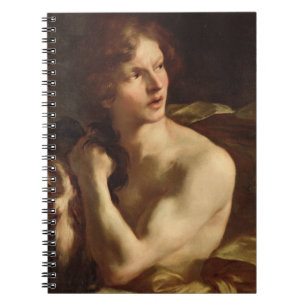Caderno Espiral David