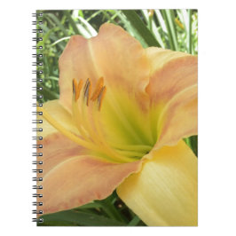 Caderno Espiral DAYLILY "Blond Baby" — Cor de laranja verde amarel