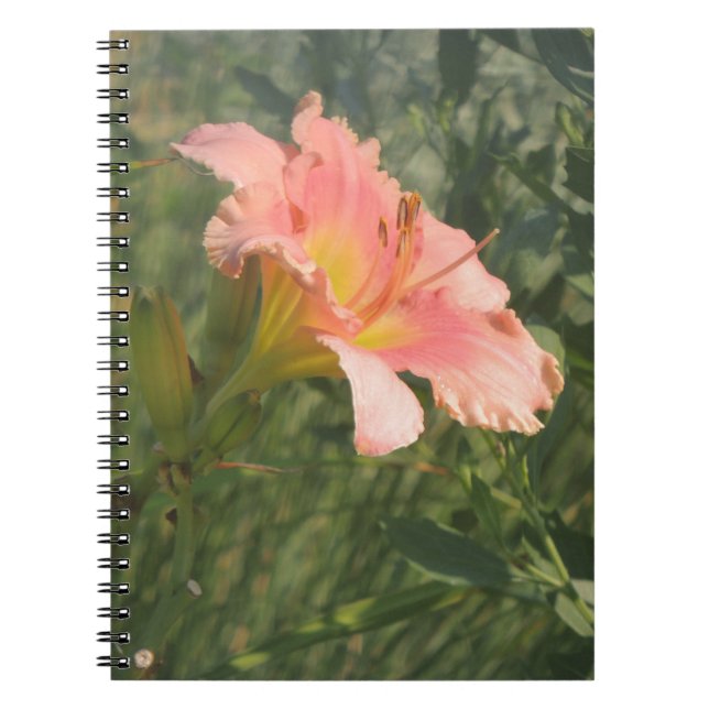 Caderno Espiral Daylily no Sol (Frente)