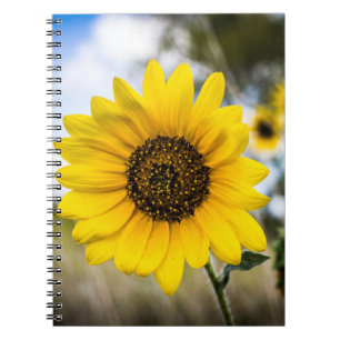 Caderno Espiral Daze ensolarado