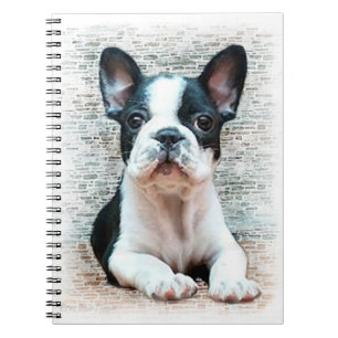 Caderno espiral de buldogue francês