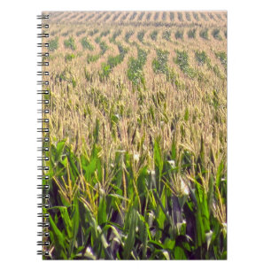 Caderno Espiral de Fileiras Infinitas de Milho