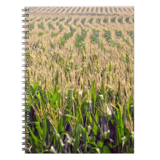 Caderno Espiral de Fileiras Infinitas de Milho