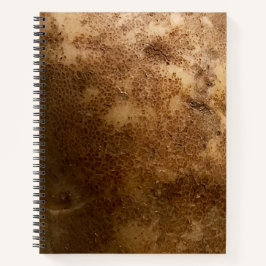 Caderno Espiral de Fotografia de Batata Marrons em