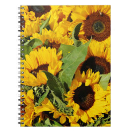 Caderno Espiral de Fotos Girassóis Amarelos