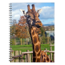 Caderno espiral de girafa
