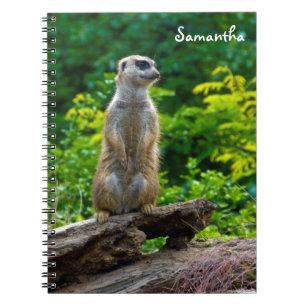 Caderno espiral de suricata