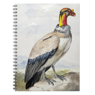 Caderno Espiral Decoração de Parede Vibrante do Exótico Rei Abutre