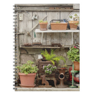 Caderno Espiral Decorações na cerca de madeira, ilha Catalina,