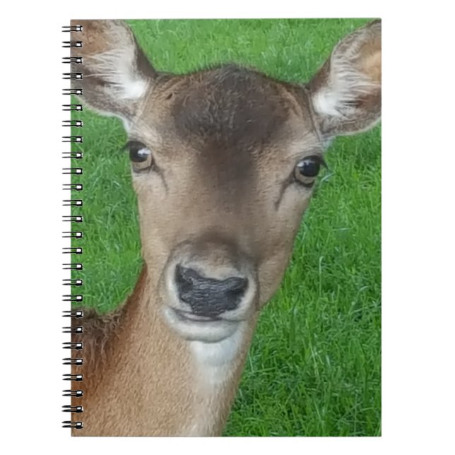 Caderno Espiral Deer Portrait Fotografia Willife (Frente)