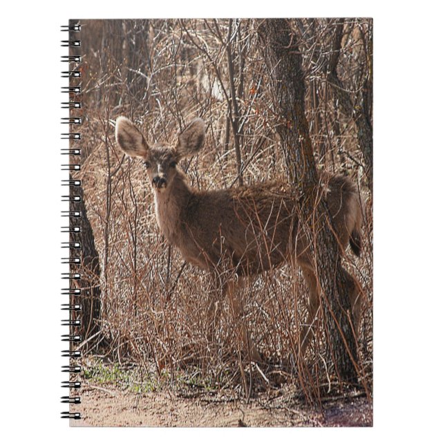 Caderno Espiral Deer Stare (Frente)