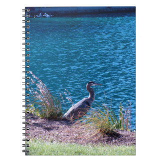 Caderno Espiral Deixa as cores ser seu guia