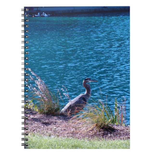 Caderno Espiral Deixa as cores ser seu guia (Frente)