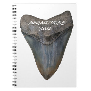 Caderno Espiral Dente do tubarão de Megalodon