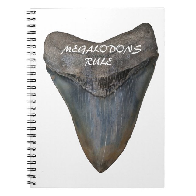 Caderno Espiral Dente do tubarão de Megalodon (Frente)