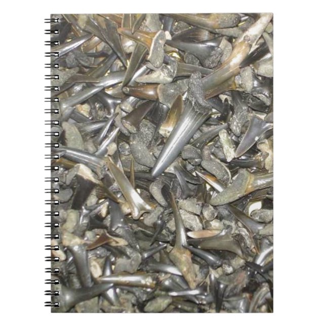 Caderno Espiral Dentes de tubarão fósseis (Frente)