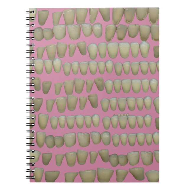 CADERNO ESPIRAL DENTISTA DENTISTA ORTODÔNICA ROTTEN DENTISMO BOCA (Frente)