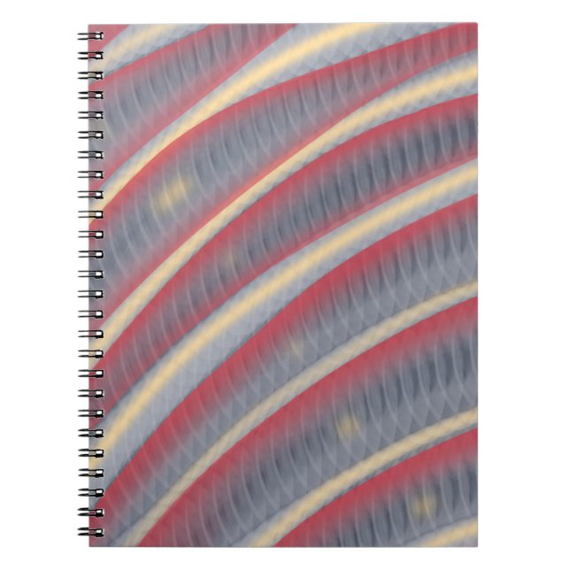 Caderno Espiral Depois da Cobra (Frente)